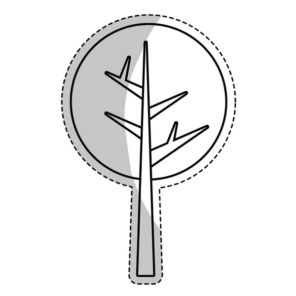 Drzewo wysokości roślin ikona — Wektor stockowy