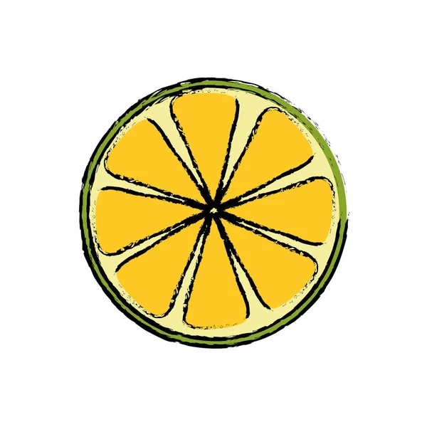 Fruta cítrica de limón — Vector de stock