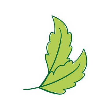 Doğal yaprakları ekoloji