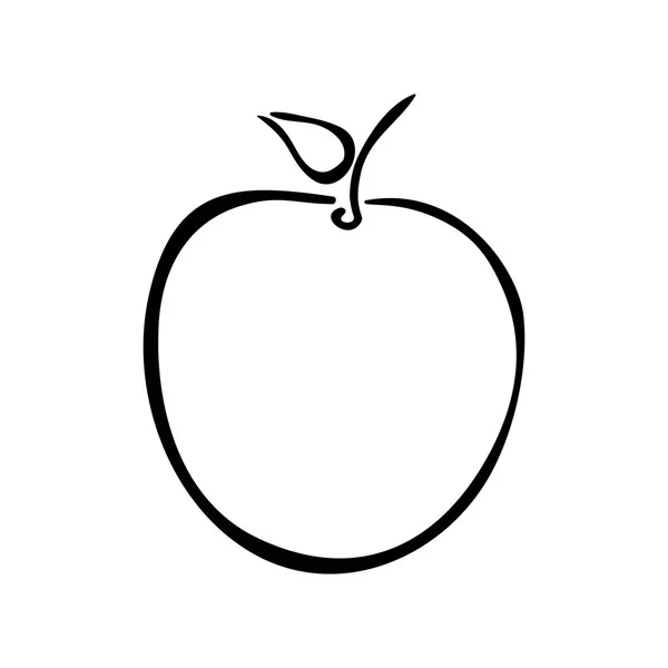 Deliciosa fruta de maçã —  Vetores de Stock