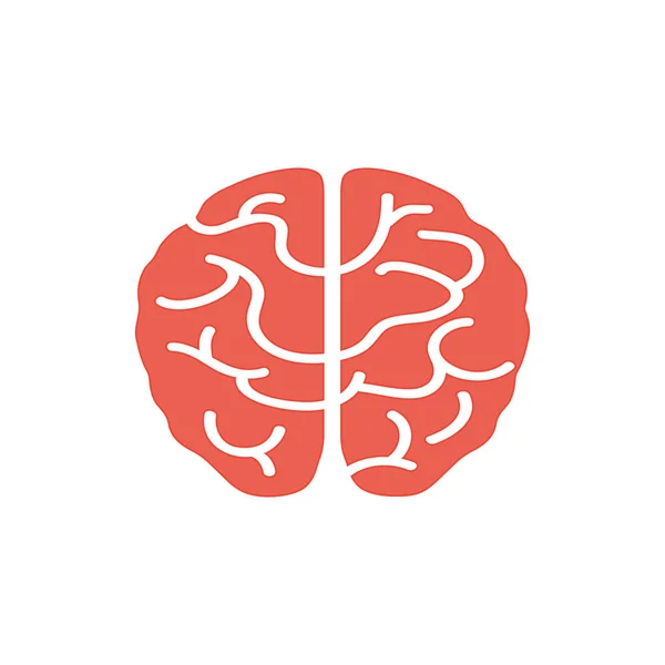 Isolated human brain — Stock Vector