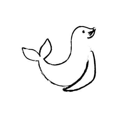 Sealion Karikatür hayvan