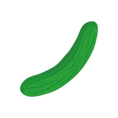 taze salatalık sebze