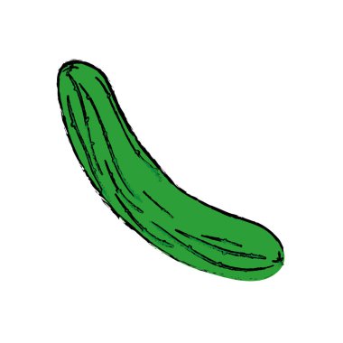 taze salatalık sebze