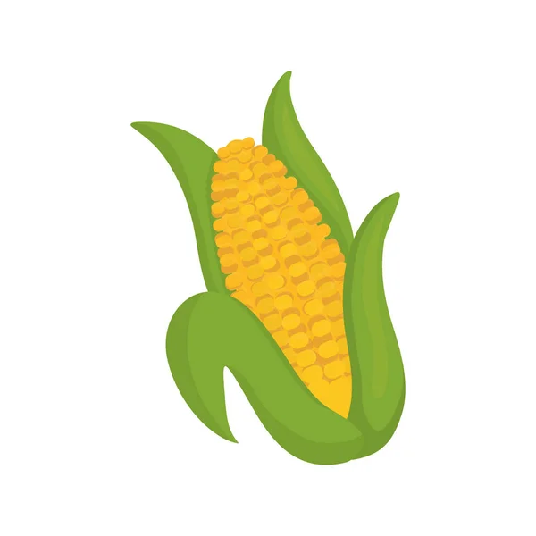 Verse maïs plantaardige — Stockvector