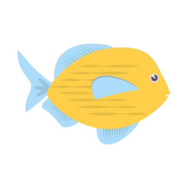 mavi ve sarı balık çeşitli okyanus