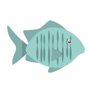 tropikal balık deniz habitat grafiği