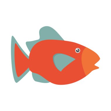 Turuncu balık deniz ekosistemi yaşam