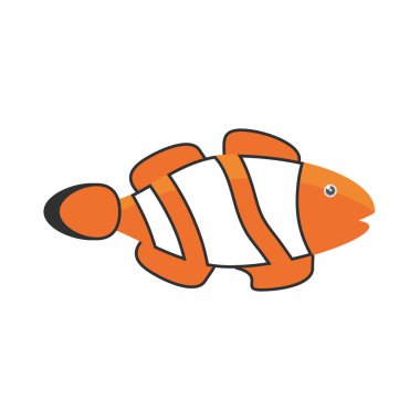 palyaço balık mercan anemone resif