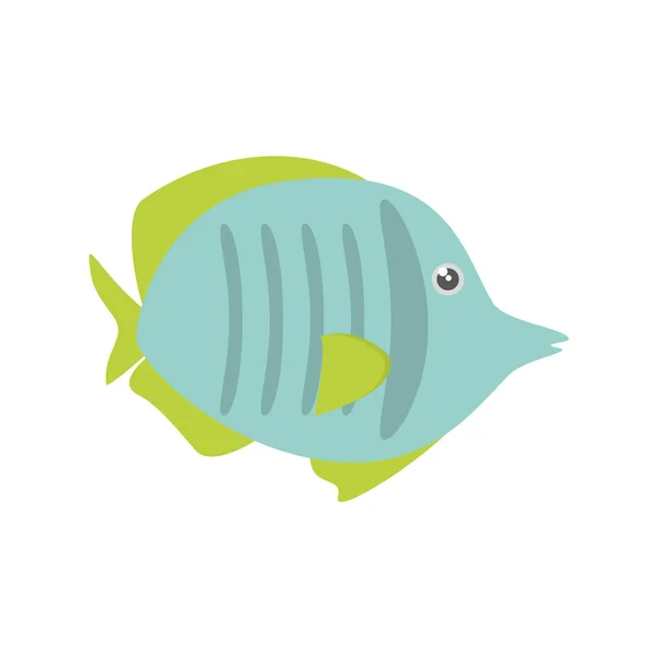 Exotic fish sealife freshwater — Stock Vector