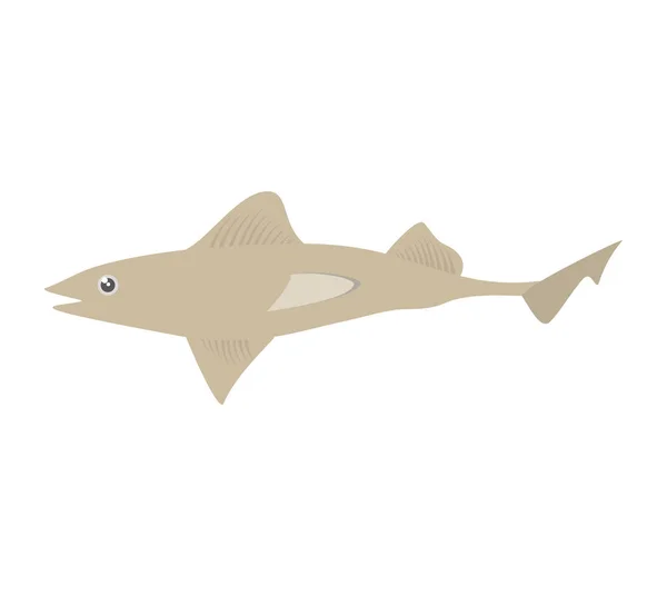 Requin poisson océan espèces monde — Image vectorielle