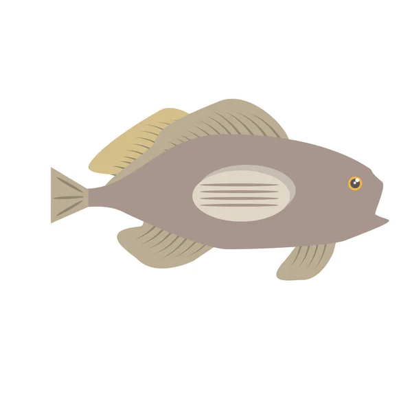 Mero pescado vista lateral vida marina — Vector de stock