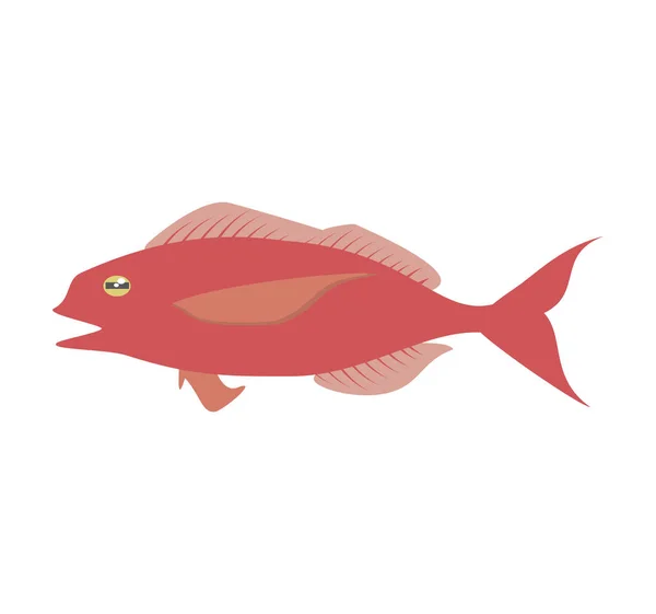 Torsk fisk sealife mat ocean — Stock vektor