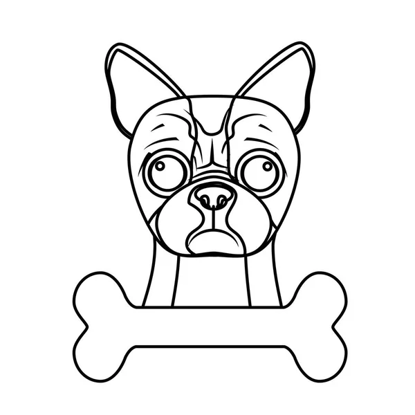 Imagem ícone raça cão — Vetor de Stock