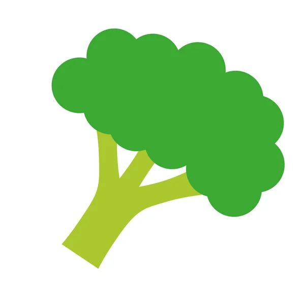 Ícone vegetal de brócolis — Vetor de Stock