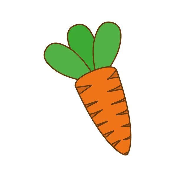 Sárgarépa növényi ikon — Stock Vector