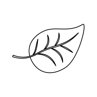 Yeşil ekoloji düşünüyorum