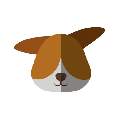 baş köpek evde beslenen hayvan hayvan