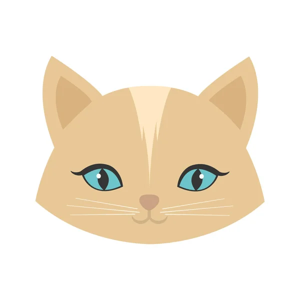 Beleza rosto gato fêmea azul olhos — Vetor de Stock