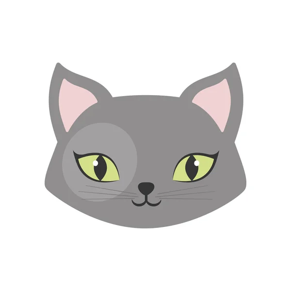 Chat gris yeux verts animal de compagnie — Image vectorielle