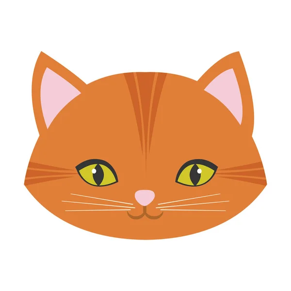 Mignon visage de chat moustache de nez rose — Image vectorielle