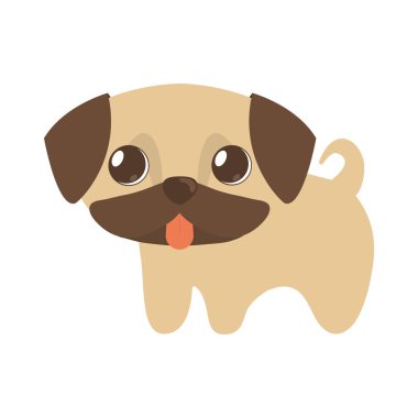 küçük şirin köpek yavrusu dilini dışarı