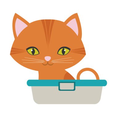 yeşil gözleri küvet oturan turuncu küçük kedi