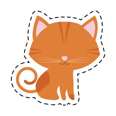 kedi kedi meraklı küçük kesmiş