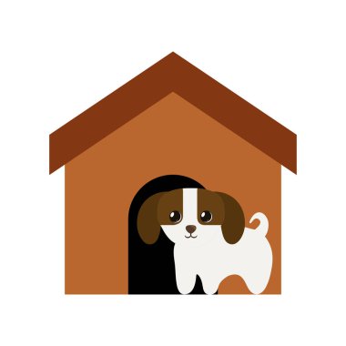 köpek yavrusu yerli memeli kahverengi ev