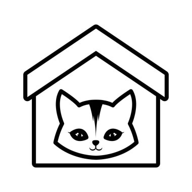 kedi kedi meraklı küçük ev evde beslenen hayvan anahat