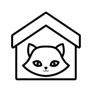 kedi burun komik hayvan ev evde beslenen hayvan anahat