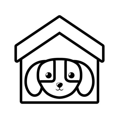 köpek yavrusu yerli memeli ev evde beslenen hayvan anahat