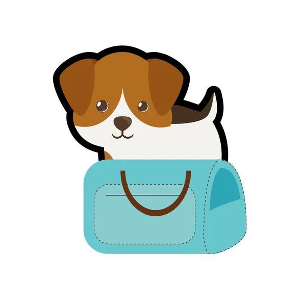 Puppy little portrait lovely blue pet carrier bag travel — стоковый вектор