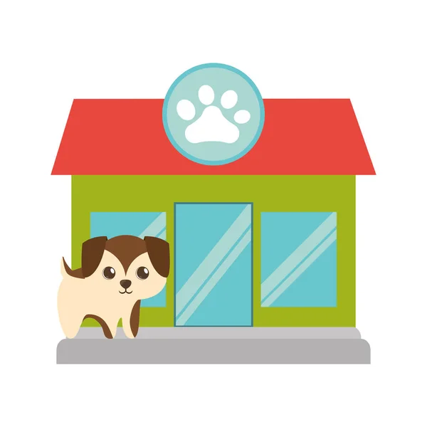 Puppy little brown pet shop facade paw print — Stock Vector
