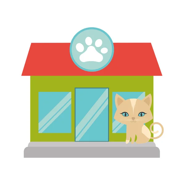 Kitten niebieski oczy pet shop fasada łapka — Wektor stockowy