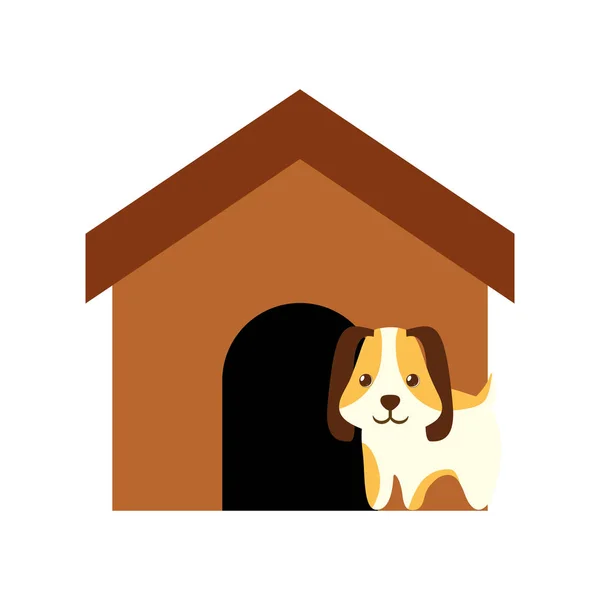 犬動物ペット耳の長い茶色の家 — ストックベクタ