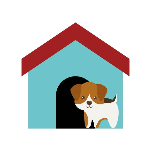 Dog canine young standing colored house — Stock Vector