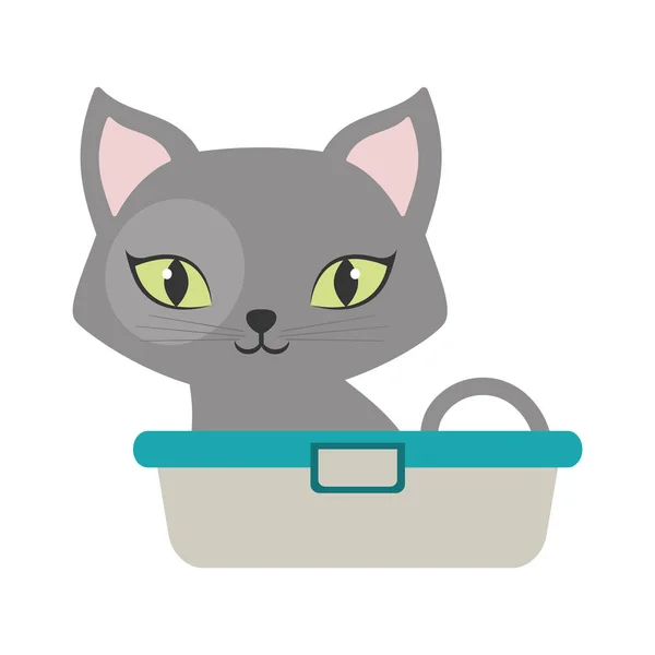 Gray small cat sitting green eyes bathtub — Stock Vector