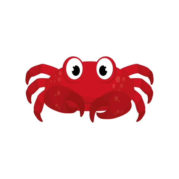 Sea crab animal — Stock Vector