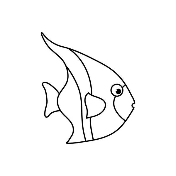바다 물고기 동물 — 스톡 벡터