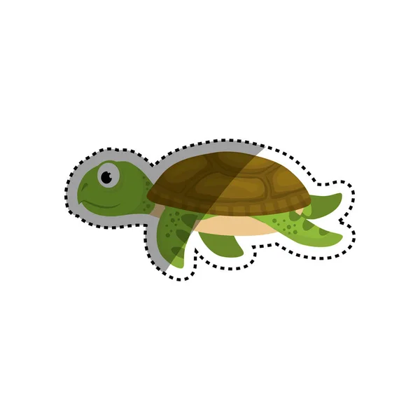 Tortuga marina animal — Vector de stock