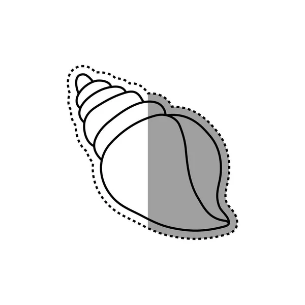 Sea shell geïsoleerd — Stockvector