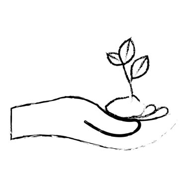 Siluet bitkiler conservancy eller görüntü ile