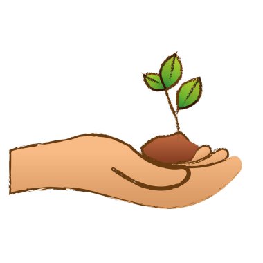 Renk bitkiler conservancy eller görüntü ile