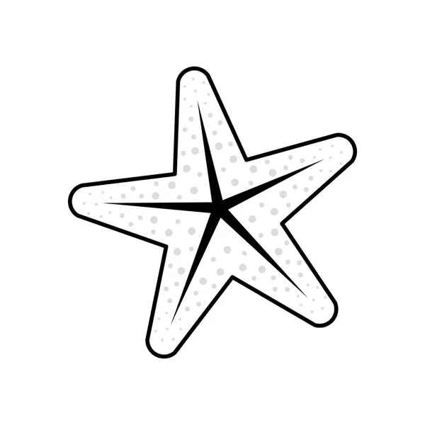 바다 스타 절연 — 스톡 벡터