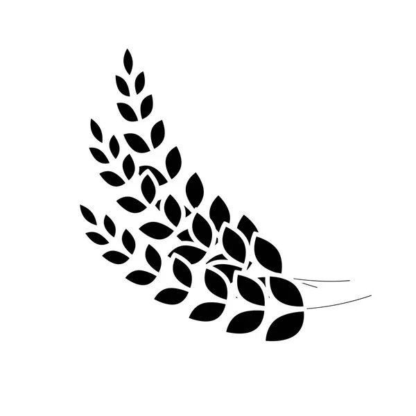 Branches de blé noir icône image design — Image vectorielle