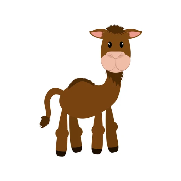 Caricatura animal de camello — Vector de stock