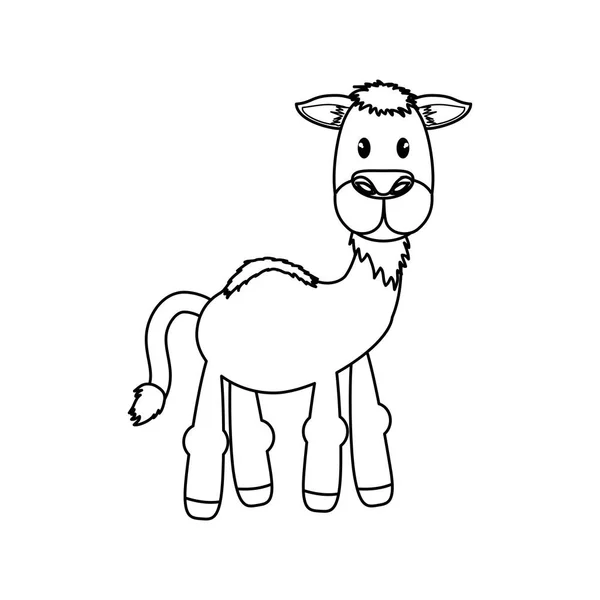 Dessin animé animal chameau — Image vectorielle