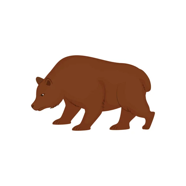 Mercato azionario orso — Vettoriale Stock
