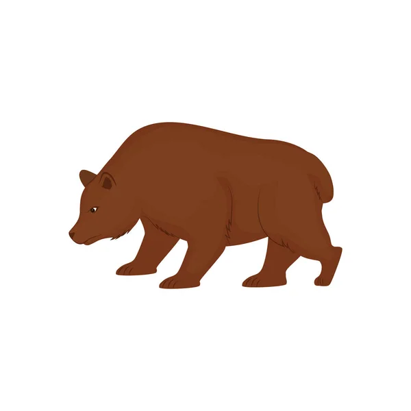 Oso de bolsa — Vector de stock